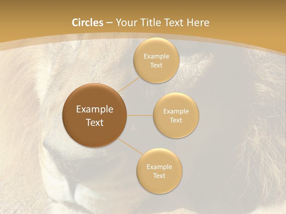 Laying African Wise PowerPoint Template