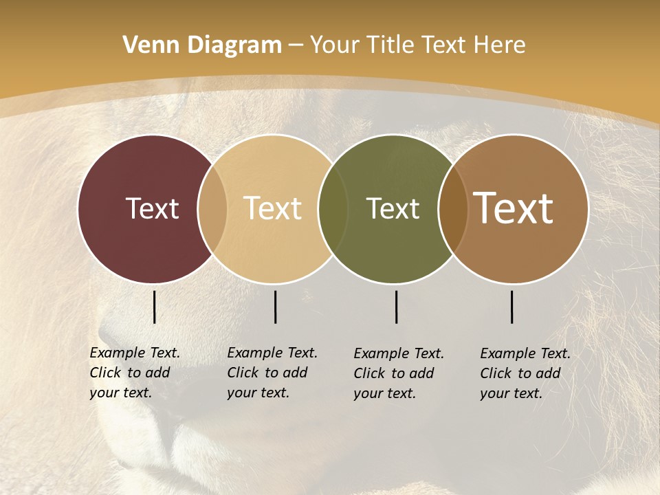 Laying African Wise PowerPoint Template