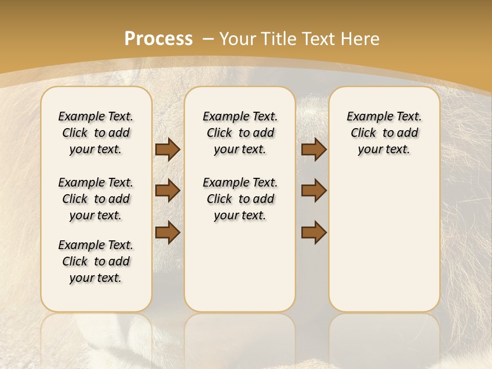 Laying African Wise PowerPoint Template