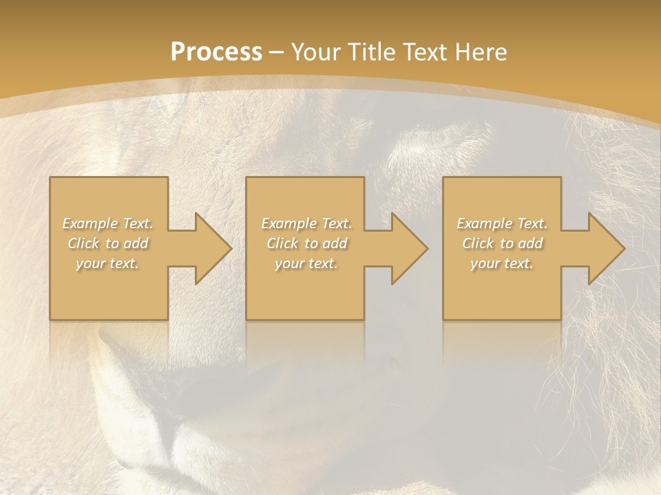 Laying African Wise PowerPoint Template