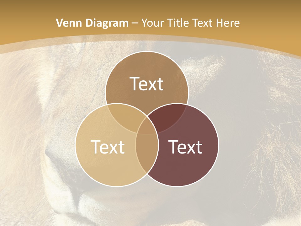 Laying African Wise PowerPoint Template