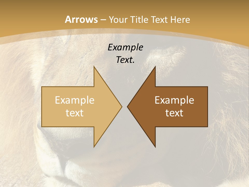 Laying African Wise PowerPoint Template