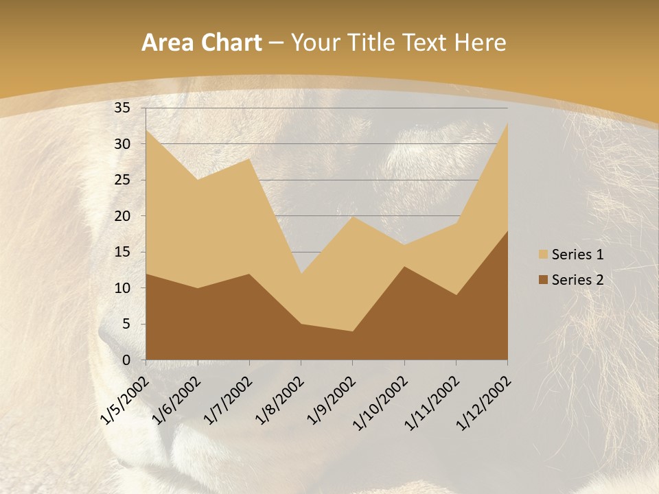 Laying African Wise PowerPoint Template