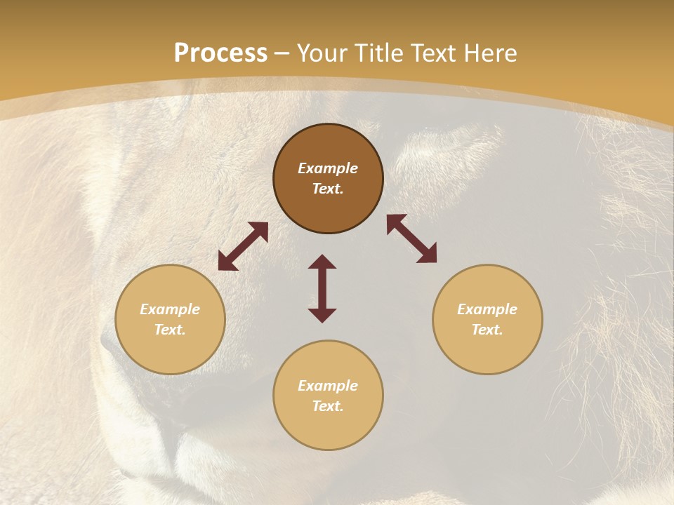 Laying African Wise PowerPoint Template