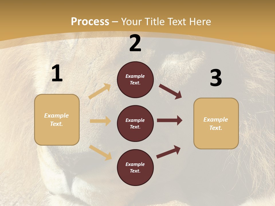 Laying African Wise PowerPoint Template