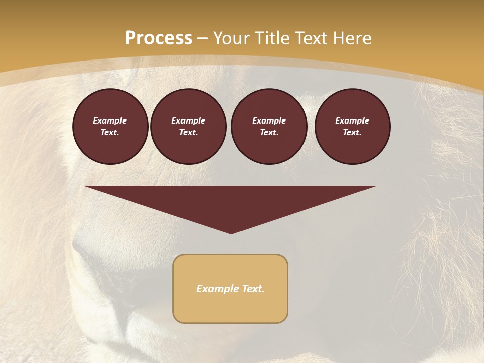 Laying African Wise PowerPoint Template