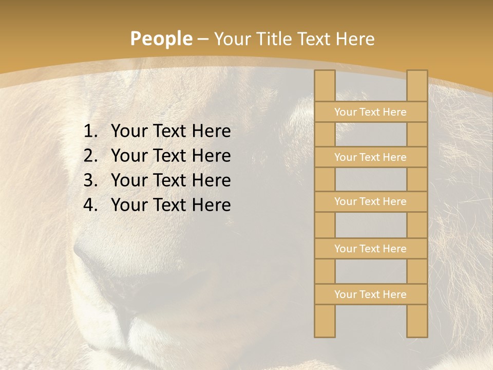 Laying African Wise PowerPoint Template