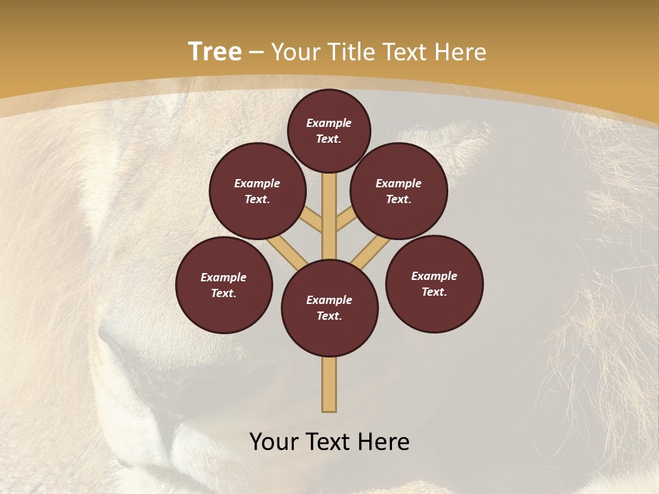 Laying African Wise PowerPoint Template