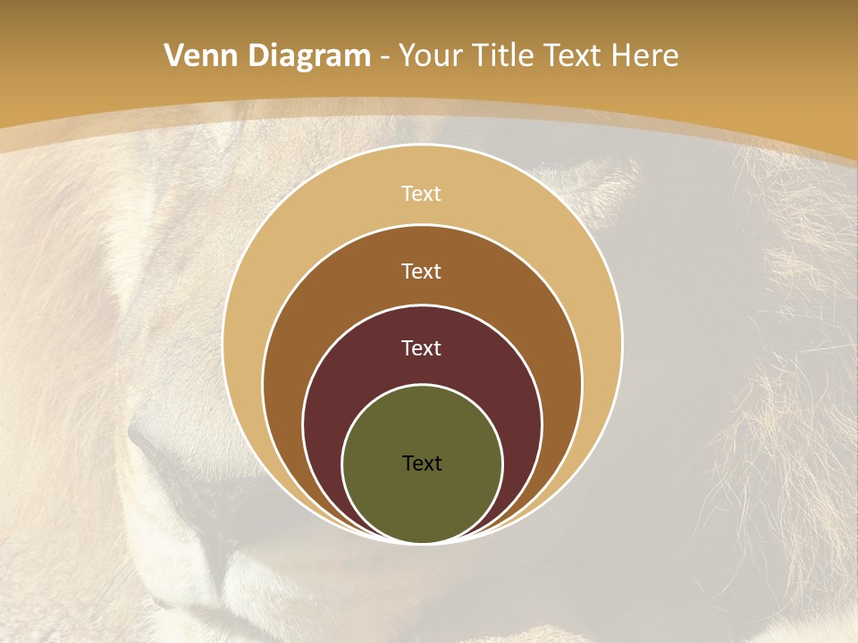 Laying African Wise PowerPoint Template