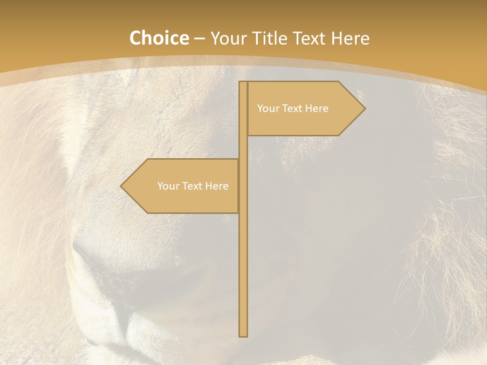 Laying African Wise PowerPoint Template