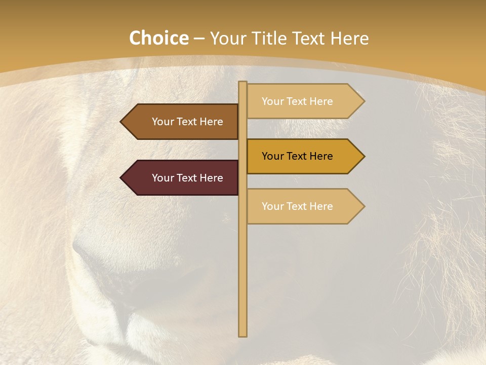 Laying African Wise PowerPoint Template