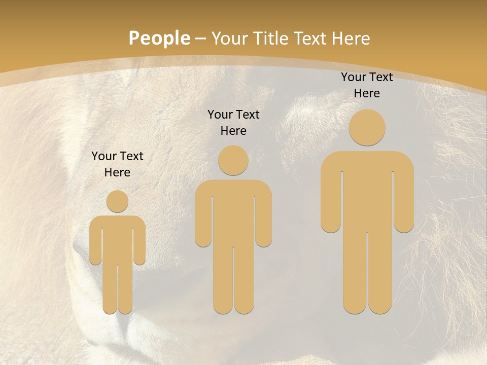 Laying African Wise PowerPoint Template