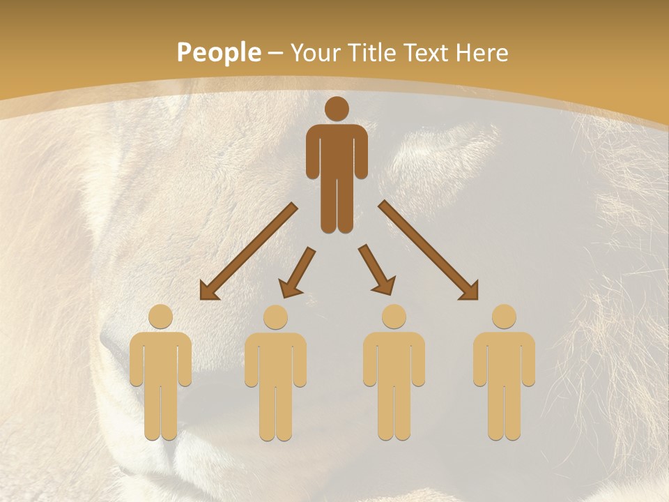 Laying African Wise PowerPoint Template