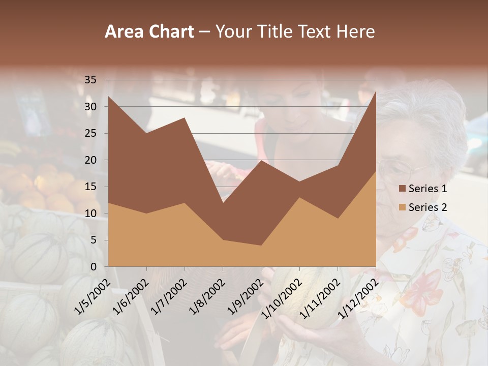 Security Woman Person PowerPoint Template
