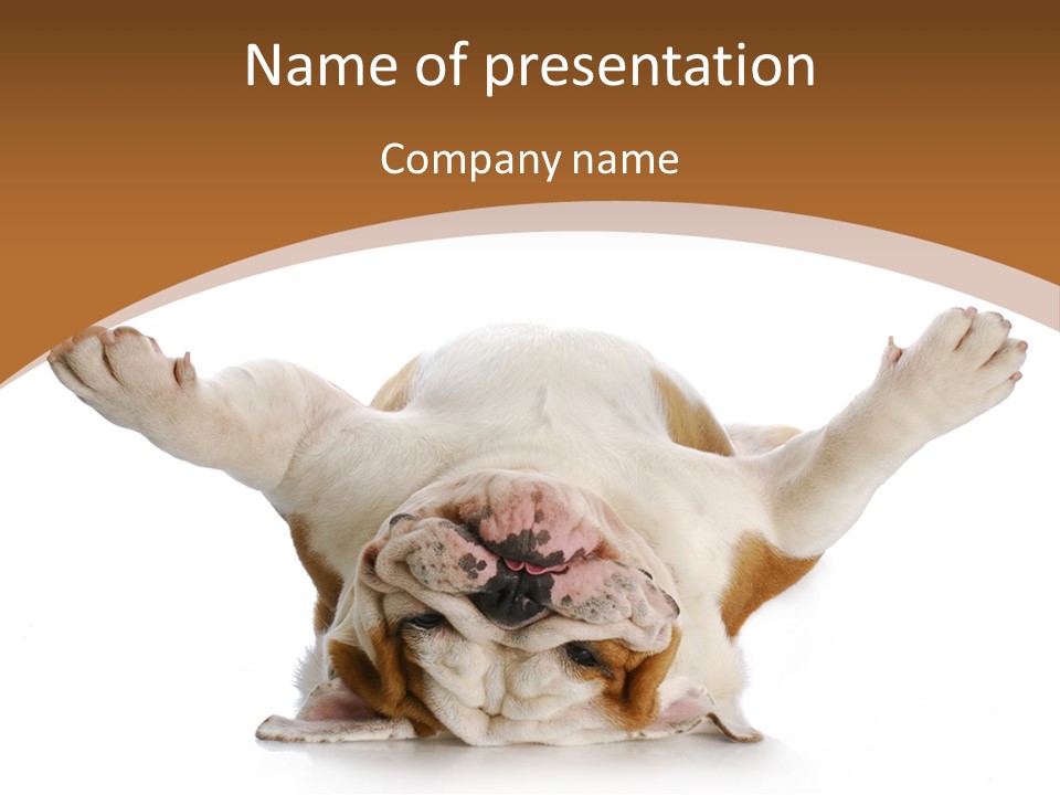 Months Looking Mammal PowerPoint Template