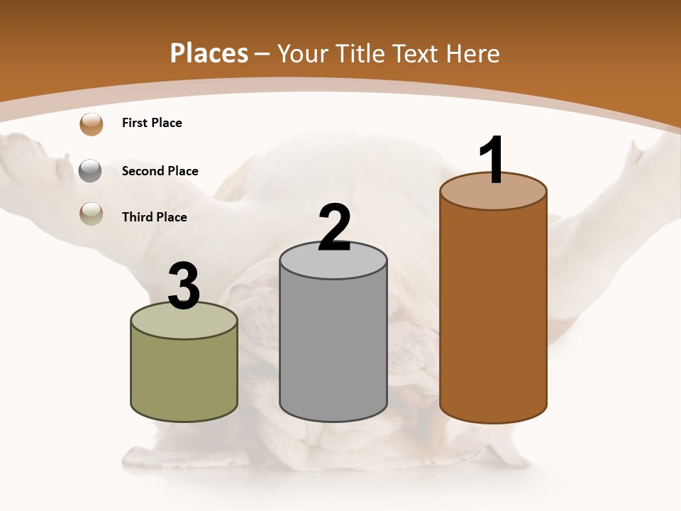 Months Looking Mammal PowerPoint Template