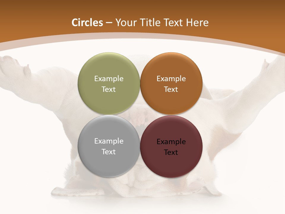 Months Looking Mammal PowerPoint Template