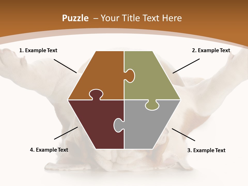 Months Looking Mammal PowerPoint Template