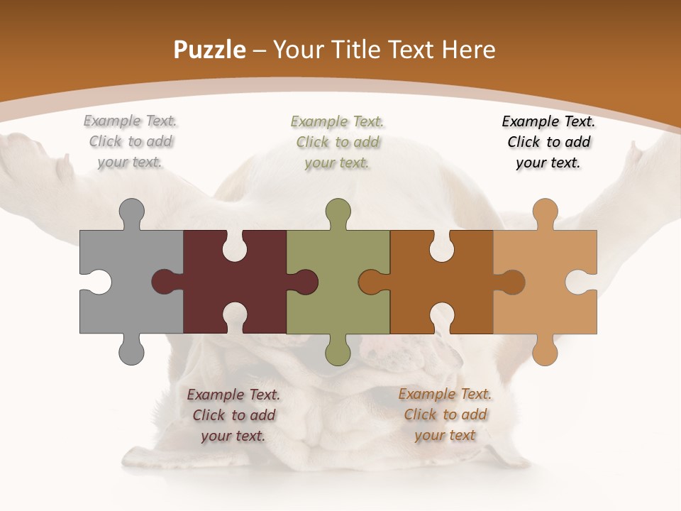 Months Looking Mammal PowerPoint Template