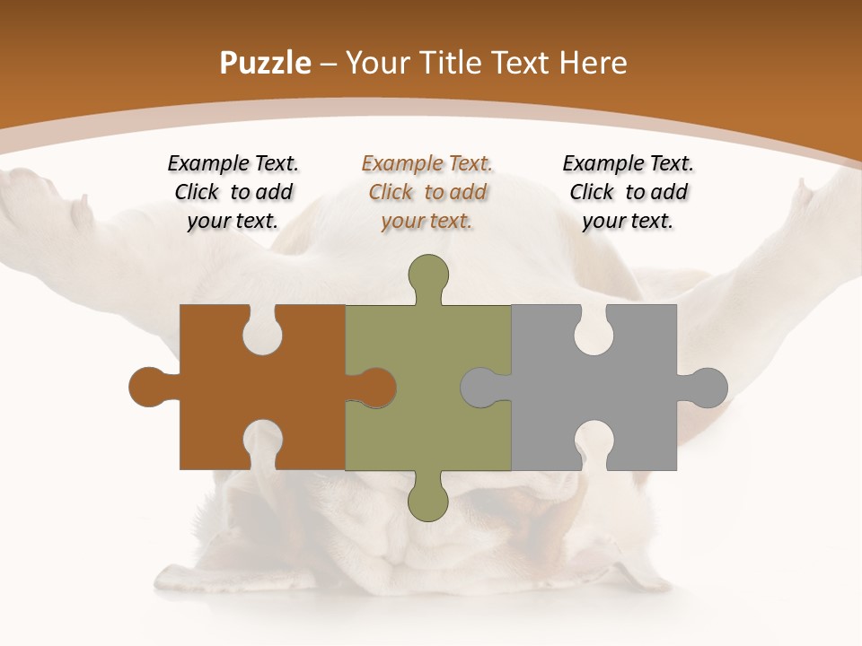 Months Looking Mammal PowerPoint Template