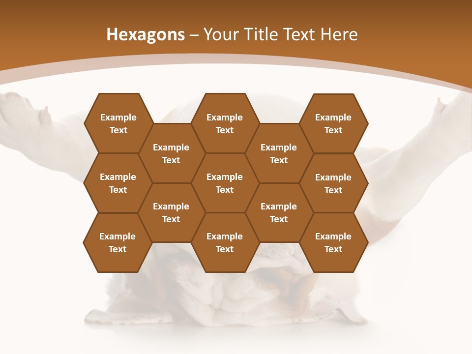 Months Looking Mammal PowerPoint Template