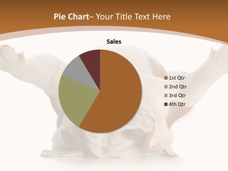 Months Looking Mammal PowerPoint Template