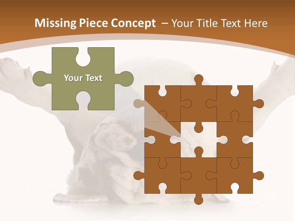 Months Looking Mammal PowerPoint Template