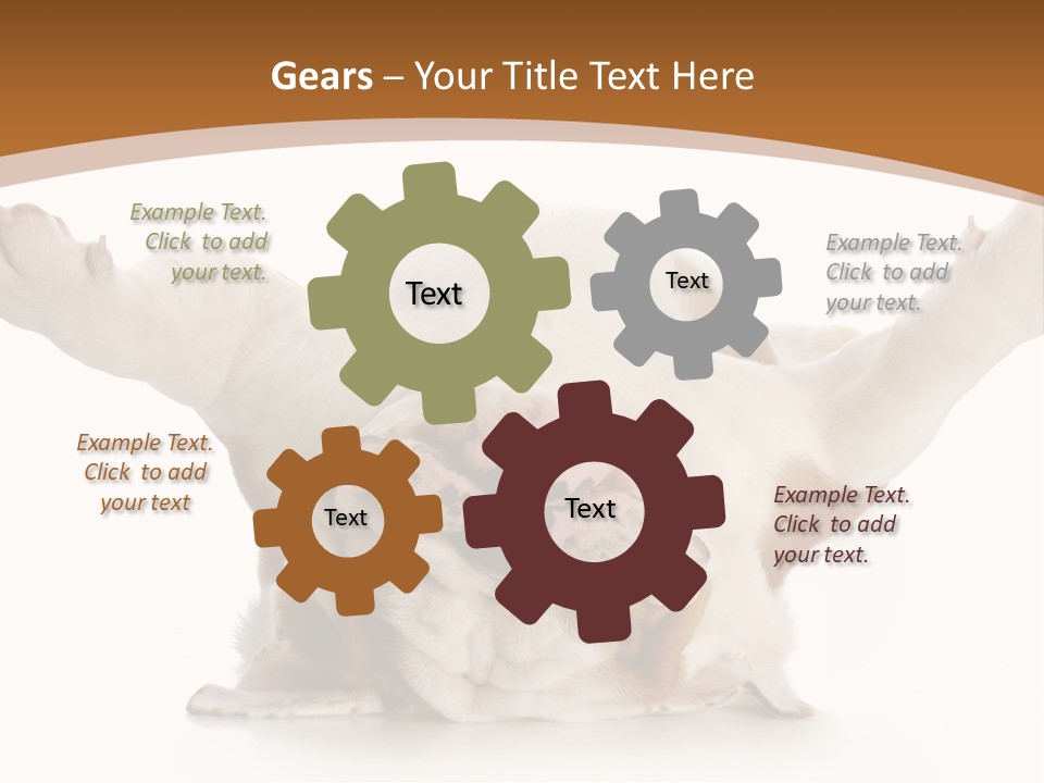 Months Looking Mammal PowerPoint Template