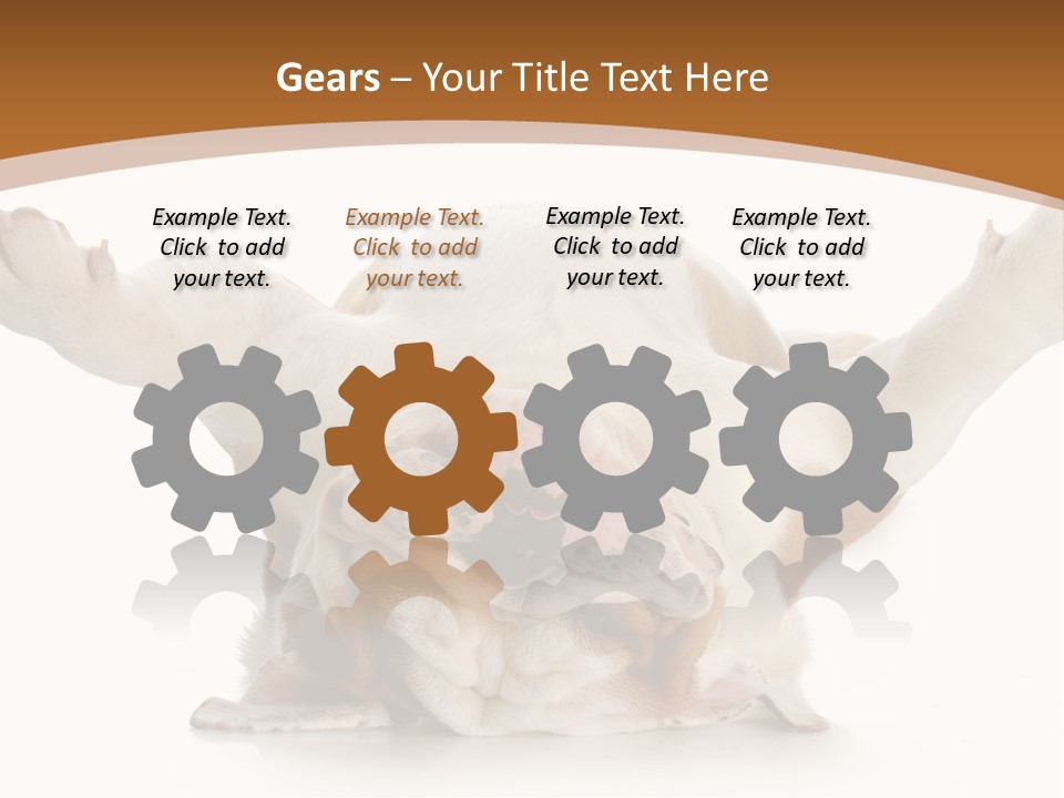 Months Looking Mammal PowerPoint Template