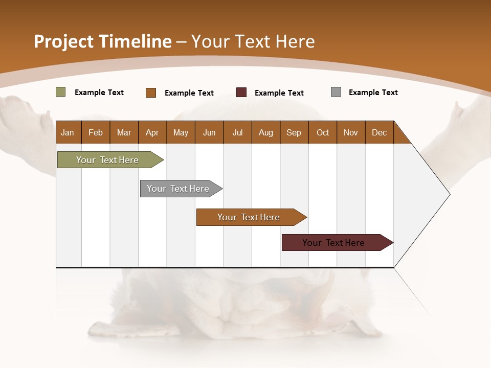 Months Looking Mammal PowerPoint Template