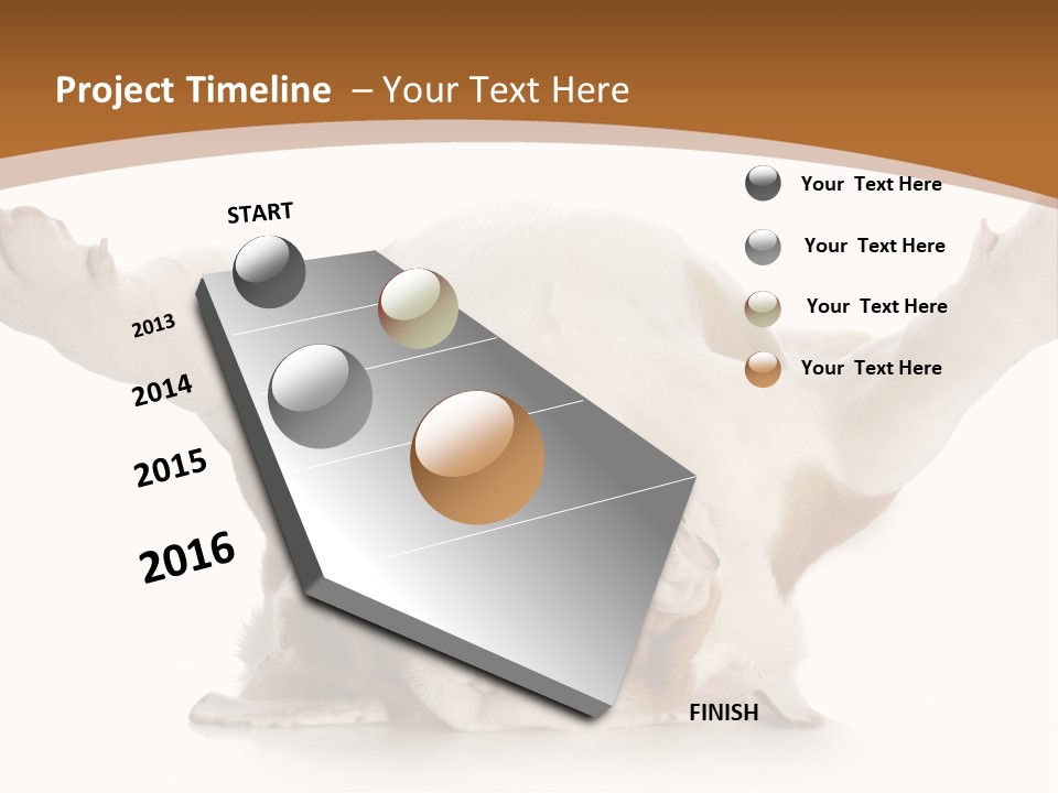 Months Looking Mammal PowerPoint Template