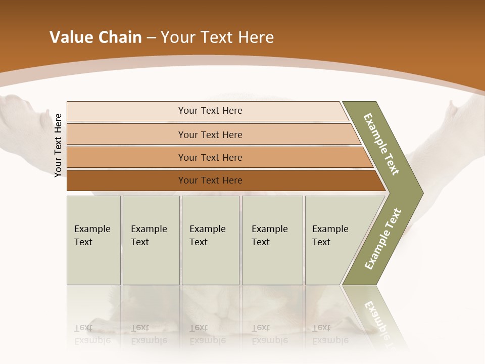Months Looking Mammal PowerPoint Template