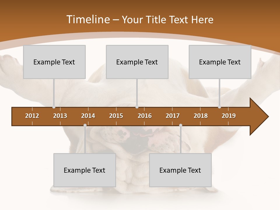 Months Looking Mammal PowerPoint Template