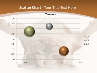 Months Looking Mammal PowerPoint Template