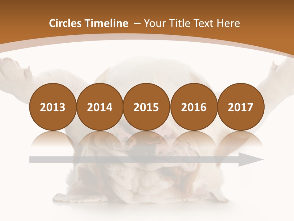 Months Looking Mammal PowerPoint Template