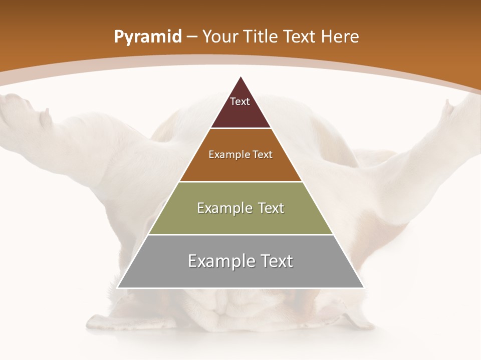 Months Looking Mammal PowerPoint Template