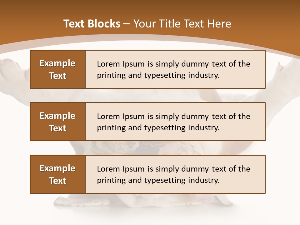 Months Looking Mammal PowerPoint Template