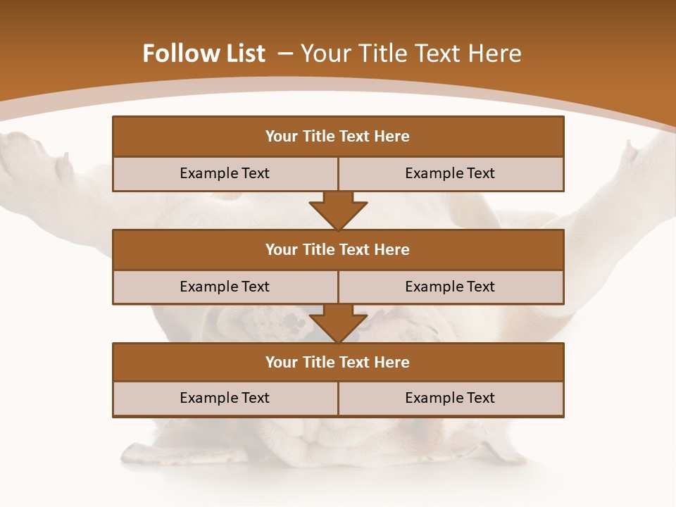 Months Looking Mammal PowerPoint Template
