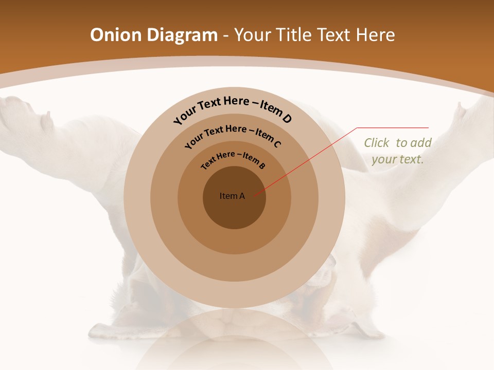 Months Looking Mammal PowerPoint Template