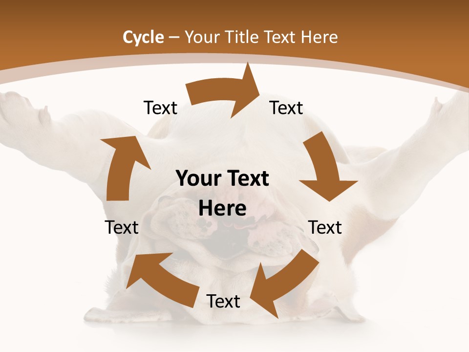 Months Looking Mammal PowerPoint Template