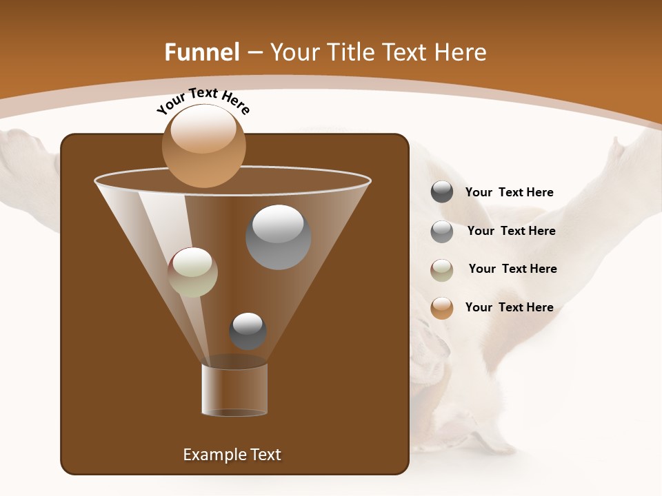 Months Looking Mammal PowerPoint Template