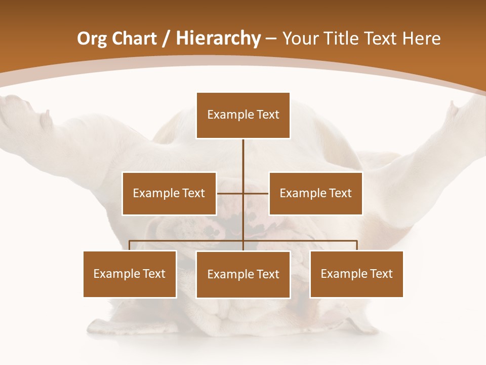 Months Looking Mammal PowerPoint Template