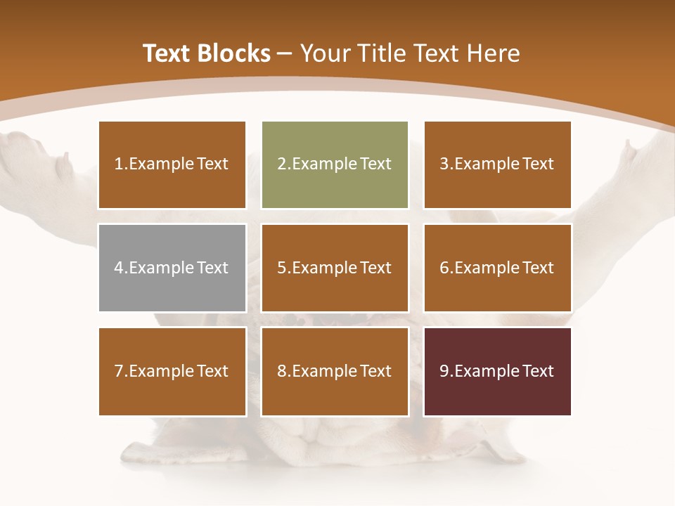 Months Looking Mammal PowerPoint Template
