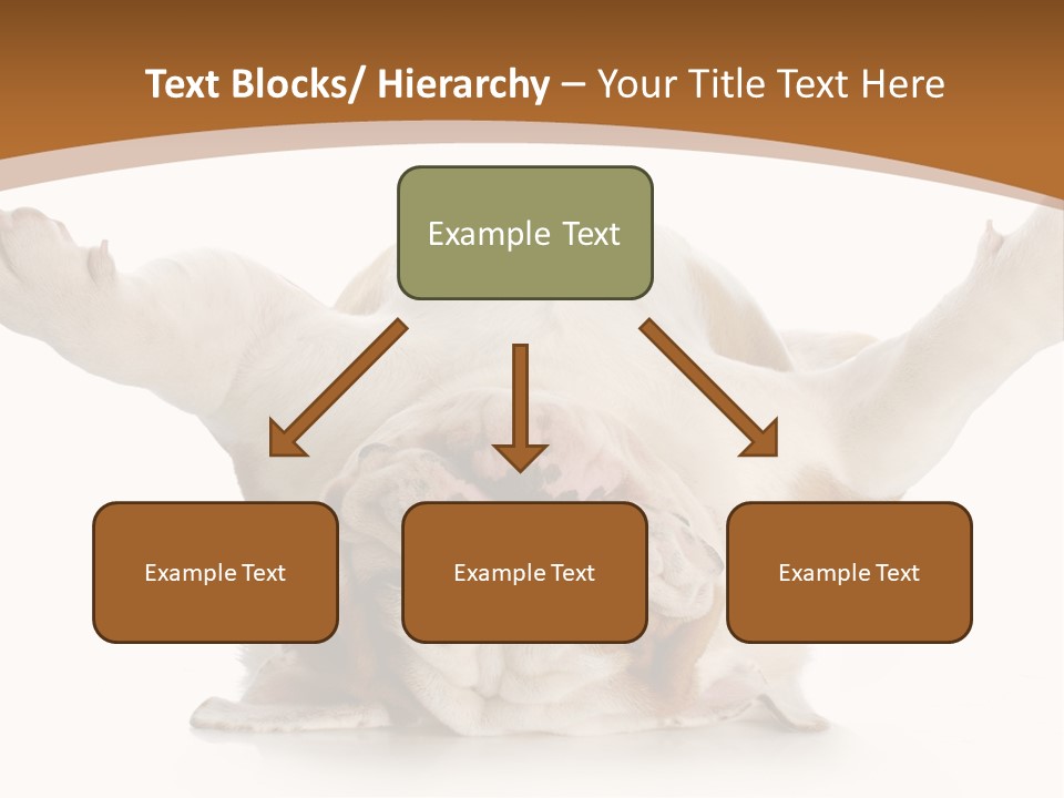 Months Looking Mammal PowerPoint Template