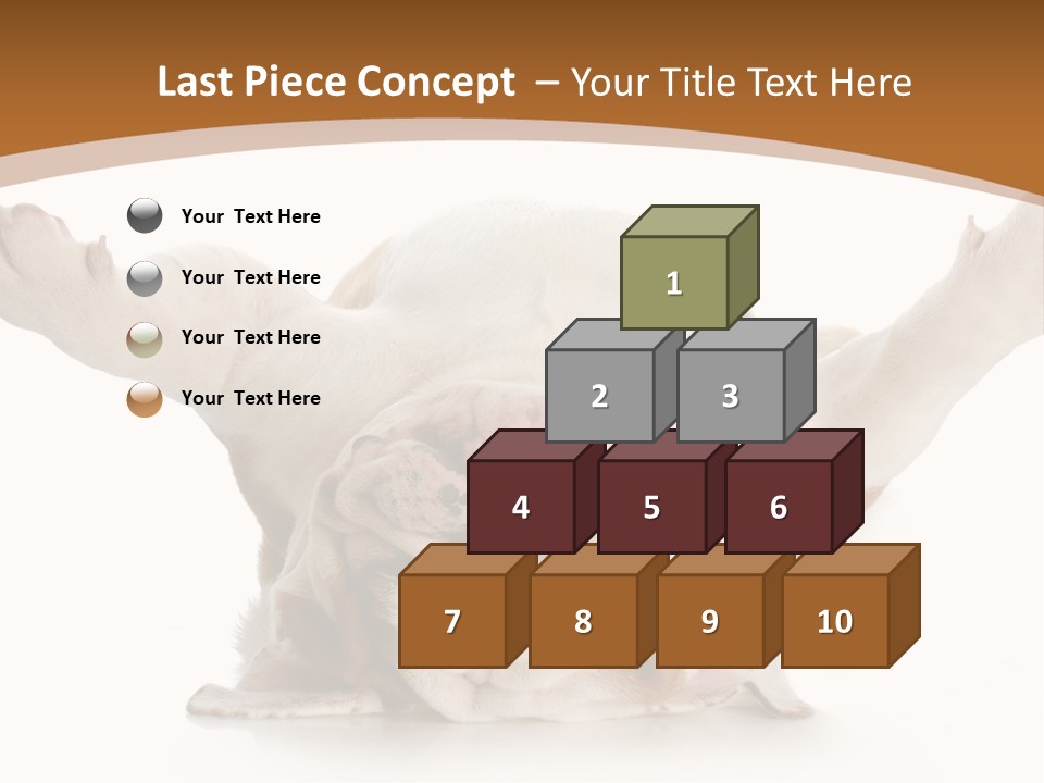 Months Looking Mammal PowerPoint Template