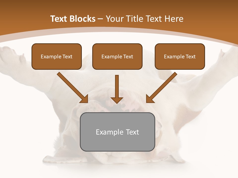Months Looking Mammal PowerPoint Template
