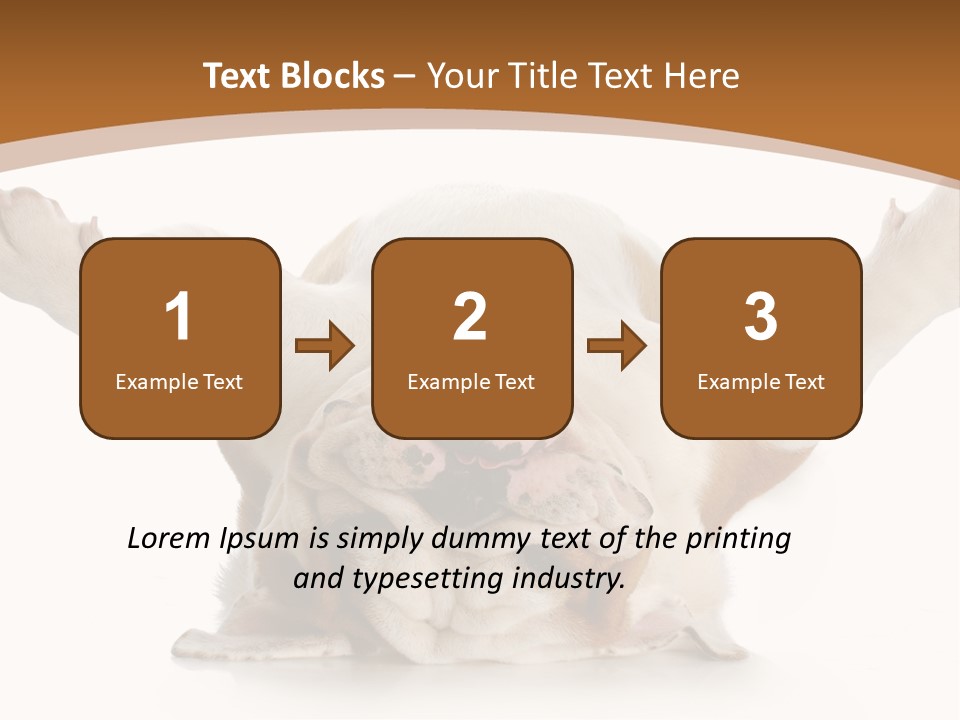 Months Looking Mammal PowerPoint Template