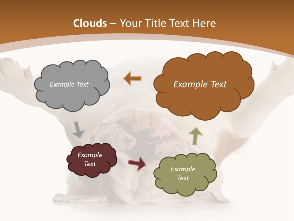 Months Looking Mammal PowerPoint Template