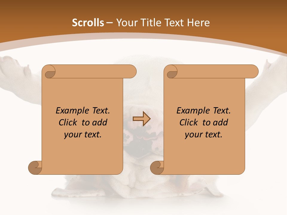 Months Looking Mammal PowerPoint Template