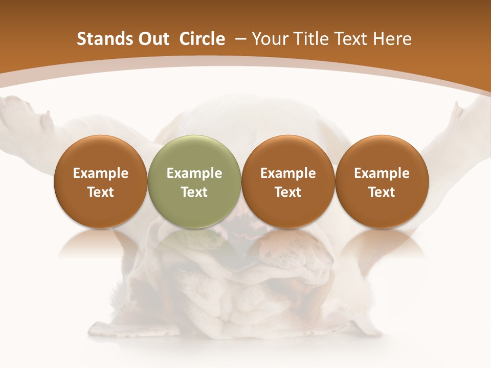 Months Looking Mammal PowerPoint Template